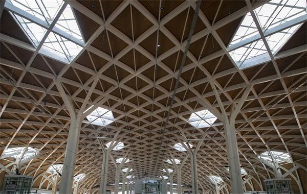 1695697259619872.jpg 4.jpg